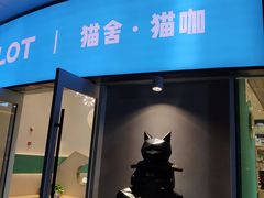 门面-飞行喵MR PILOT|猫舍·猫咖(静安大融城店)