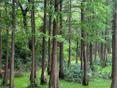 -云龙湖旅游景区