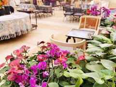 -利顺德大饭店·维多利亚花园(小白楼店)