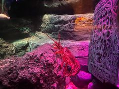 -沈阳海洋探索中心