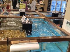 -七鲜超市(瑞虹天地太阳宫店)