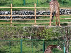 -水上乐园·欢乐世界