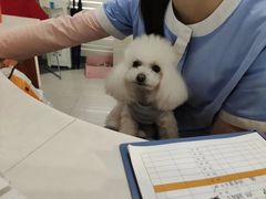 -奈斯宠物医院·核磁CT·异宠专科·内镜(中南店)