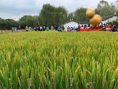 -溱湖国家湿地公园