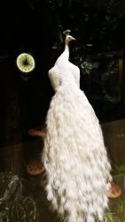 -兰超汇形体健康管理中心
