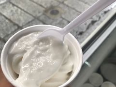 -洪馨椰子