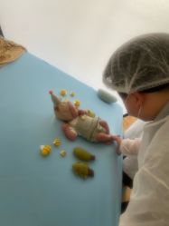 -玛瑞莎·儿童·亲子摄影(越秀店)