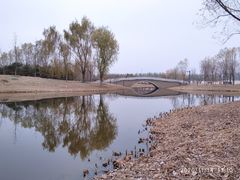 -东郊湿地公园