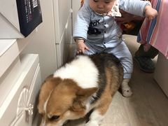 -傲雄叮叮宠物会所(御桥路店)