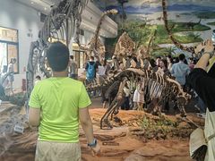 -自贡恐龙博物馆