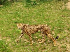 -济南野生动物世界