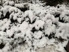 -金宫殿故址