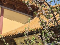-方山风景区定林寺