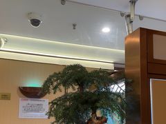 -海底捞火锅(赛格国际购物中心店)