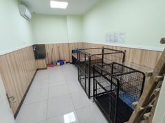 -瑞鹏宠物医院·夜间急症·心超·猫科(祖庙分店)