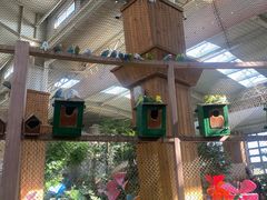 -南宫五洲植物乐园