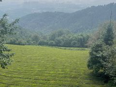 -敬亭山风景名胜区