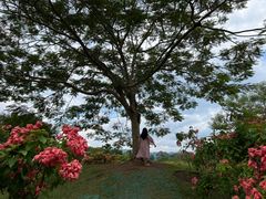 -中国科学院西双版纳热带植物园