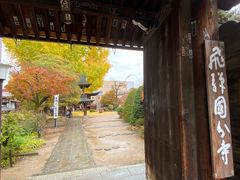 -医王山·飞騨国分寺