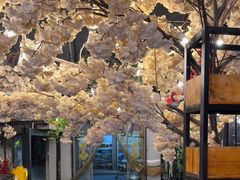 -甲大帅·甲鱼·椰子鸡主题餐厅(唐家店)