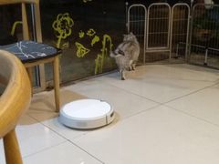 -平行世界·猫咖(首经贸店)