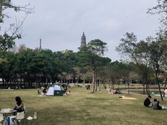 -顺峰山公园