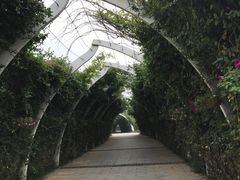 -天津东丽湖风景区