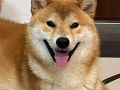 -沈阳铁西万象汇