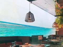 -大头椰·椰子鸡火锅(南宁万象城店)