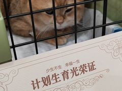 -悦宠动物医院(京丰分院)