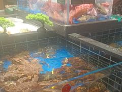 -阿明小菜·海鲜·上海菜(梅陇华理店)