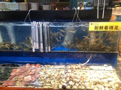 -苏格里岛自助海鲜烤肉(青秀万达店)