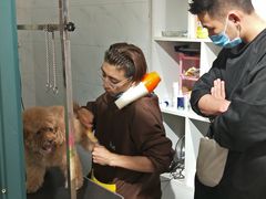 -喵汪萌宠屋旗舰店.洗澡美容.猫狗基地