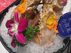 -海月轩海鲜豆捞(紫金塔店)