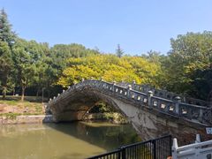 -梅园