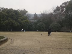 -灵谷景区