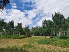 -东郊湿地公园