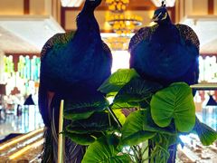 -西双版纳融创皇冠假日度假酒店