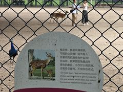 -北京麋鹿生态实验中心