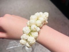 -CHIC1699远洋私厨