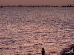 -宝安西湾红树林湿地公园