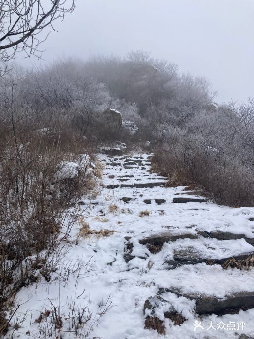 阳台山自然风景区图片