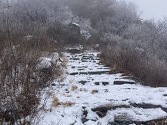 -阳台山自然风景区