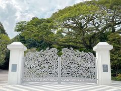 -新加坡植物园