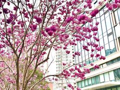 -福田卓悦INTOWN购物中心