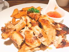 -百好乐宠物友好餐厅(朝外大街店)