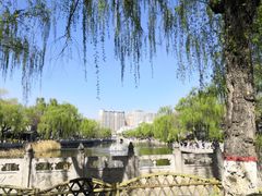-文瀛公园
