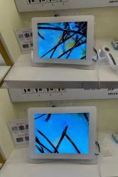 -希梵尔头皮抗衰·科技养发