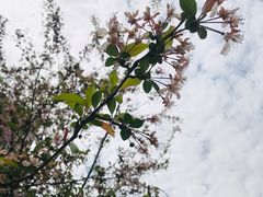 -龙华烈士纪念馆-停车场