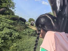 -米内日亚国家公园